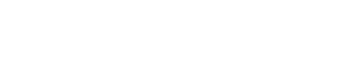 StyleOpus logo
